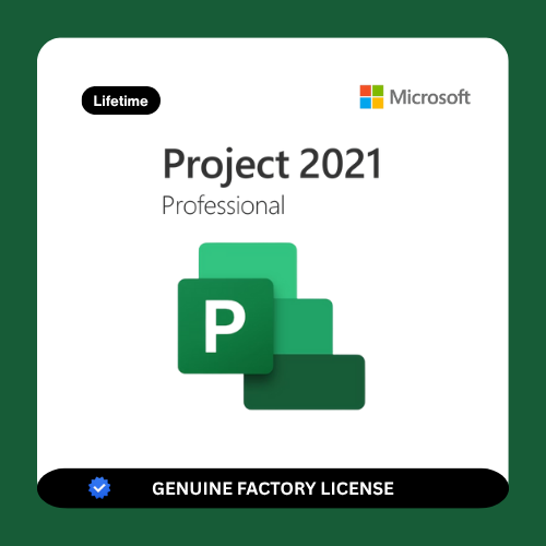 Microsoft Project Professional 2021